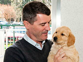 Record number of guide dogs to...